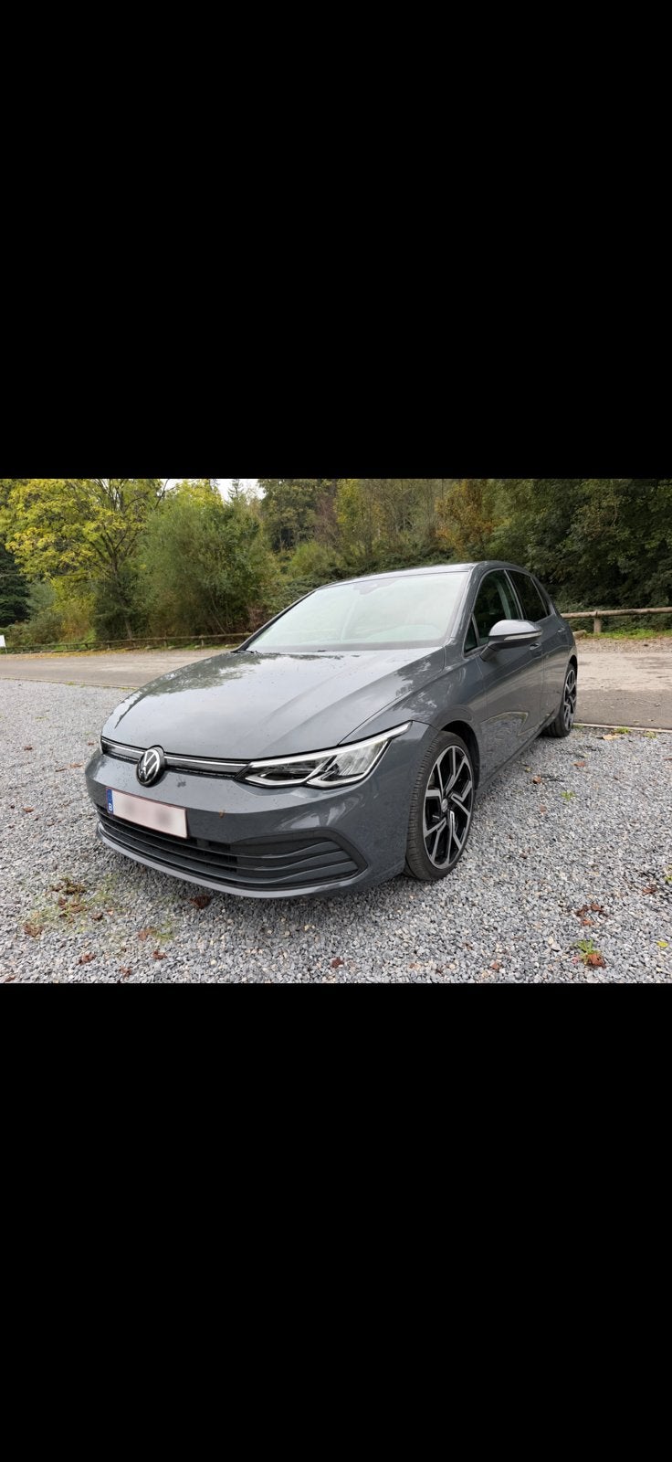 Golf 8 1.0 eTSI DSG, Ordinateur de bord, Argent ou Gris, Achat, Euro 6