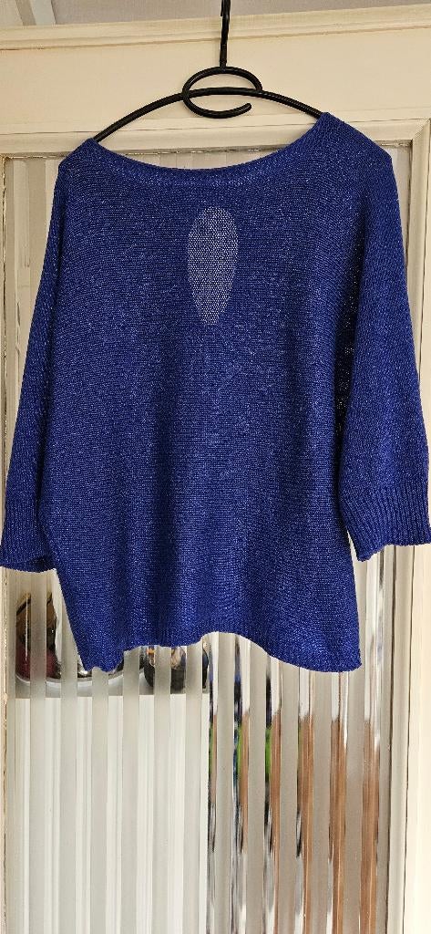 LolaLiza truitje blauw maat L/XL, Kleding | Dames, Maat 42/44 (L), Ophalen of Verzenden, Zo goed als nieuw, Blauw