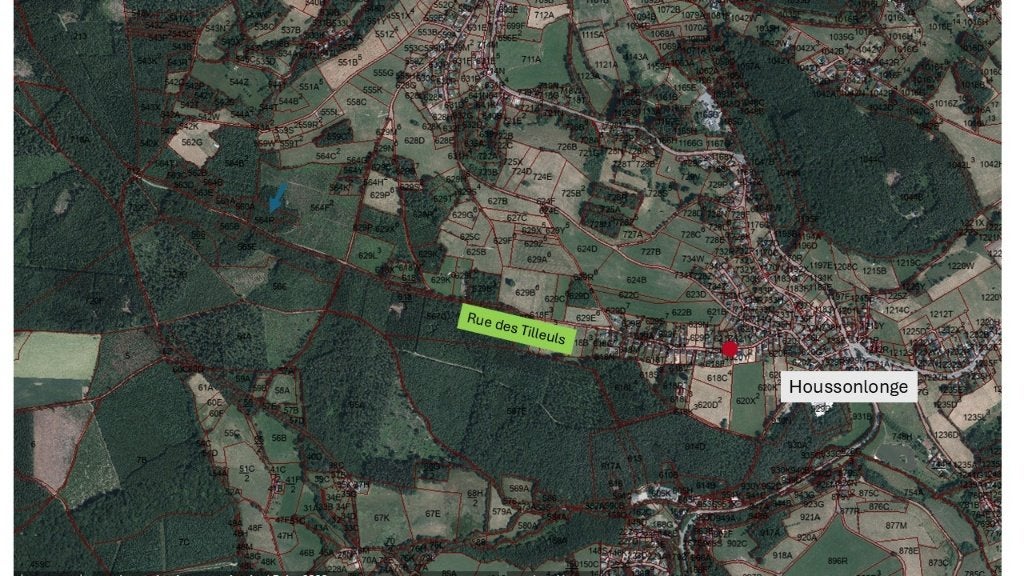 Parcelle de bois à vendre à Harzé, Immo, Harzé, 1500 m² ou plus