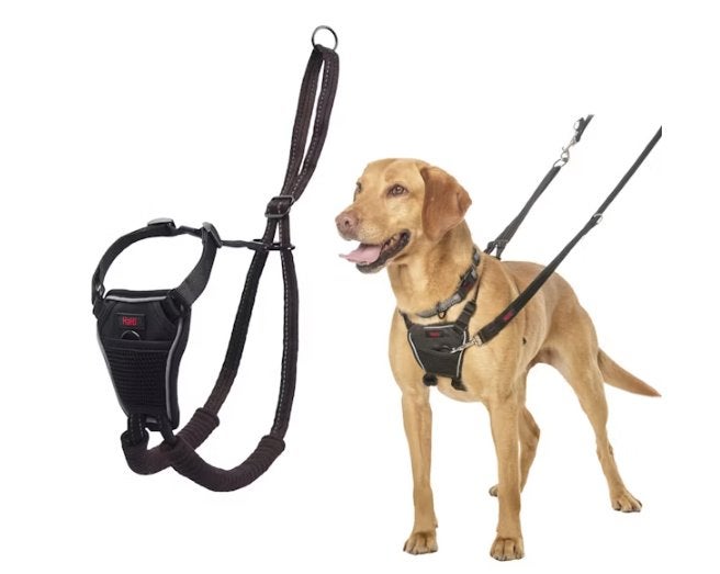 Halti No Pull Harness L NIEUW, Dieren en Toebehoren, Overige merken, Ophalen of Verzenden, Nieuw, Halsband