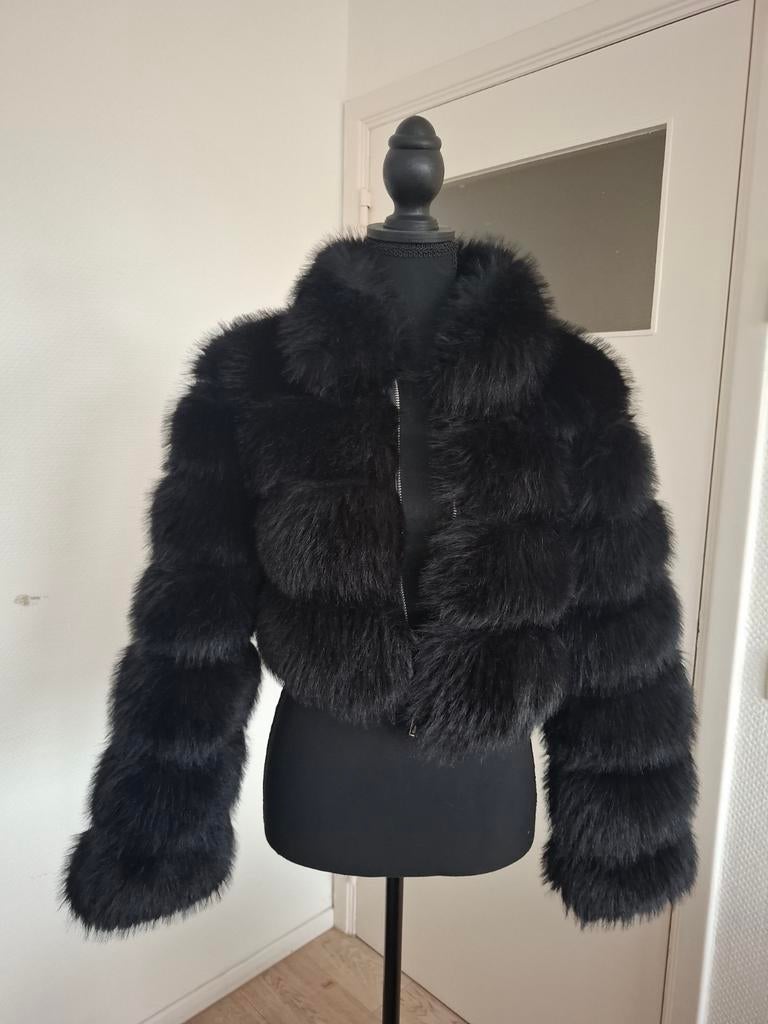 Fourrure courte, Vêtements | Femmes, Vestes | Hiver