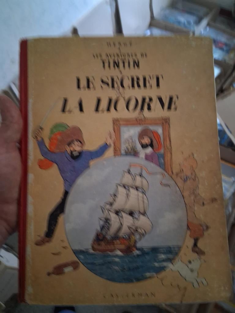 Tintin, Tintin