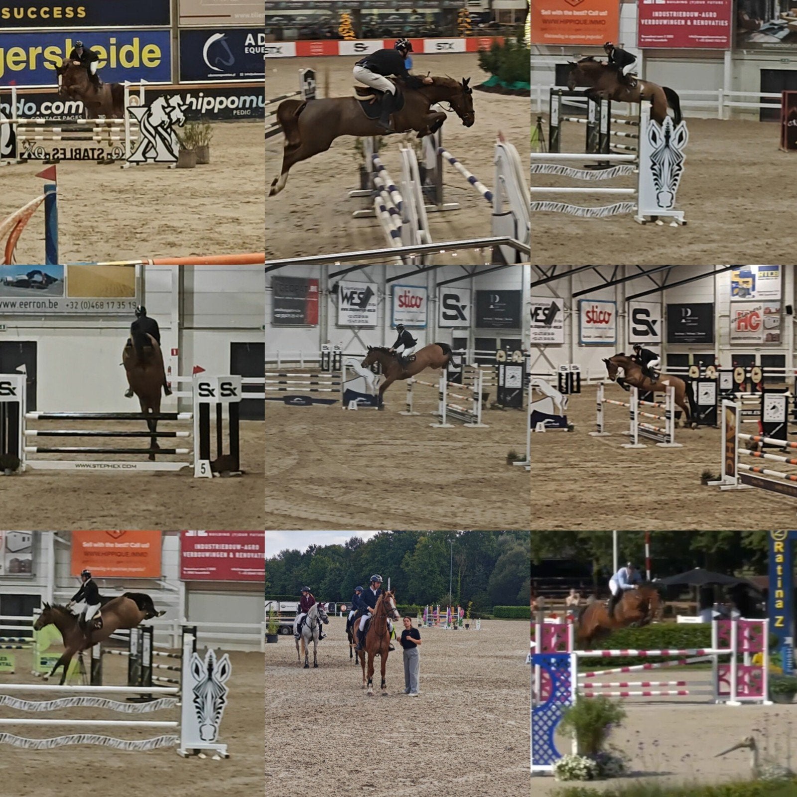 Vanaf 1 juli terug stallen beschikbaar voor training paarden, Débourré