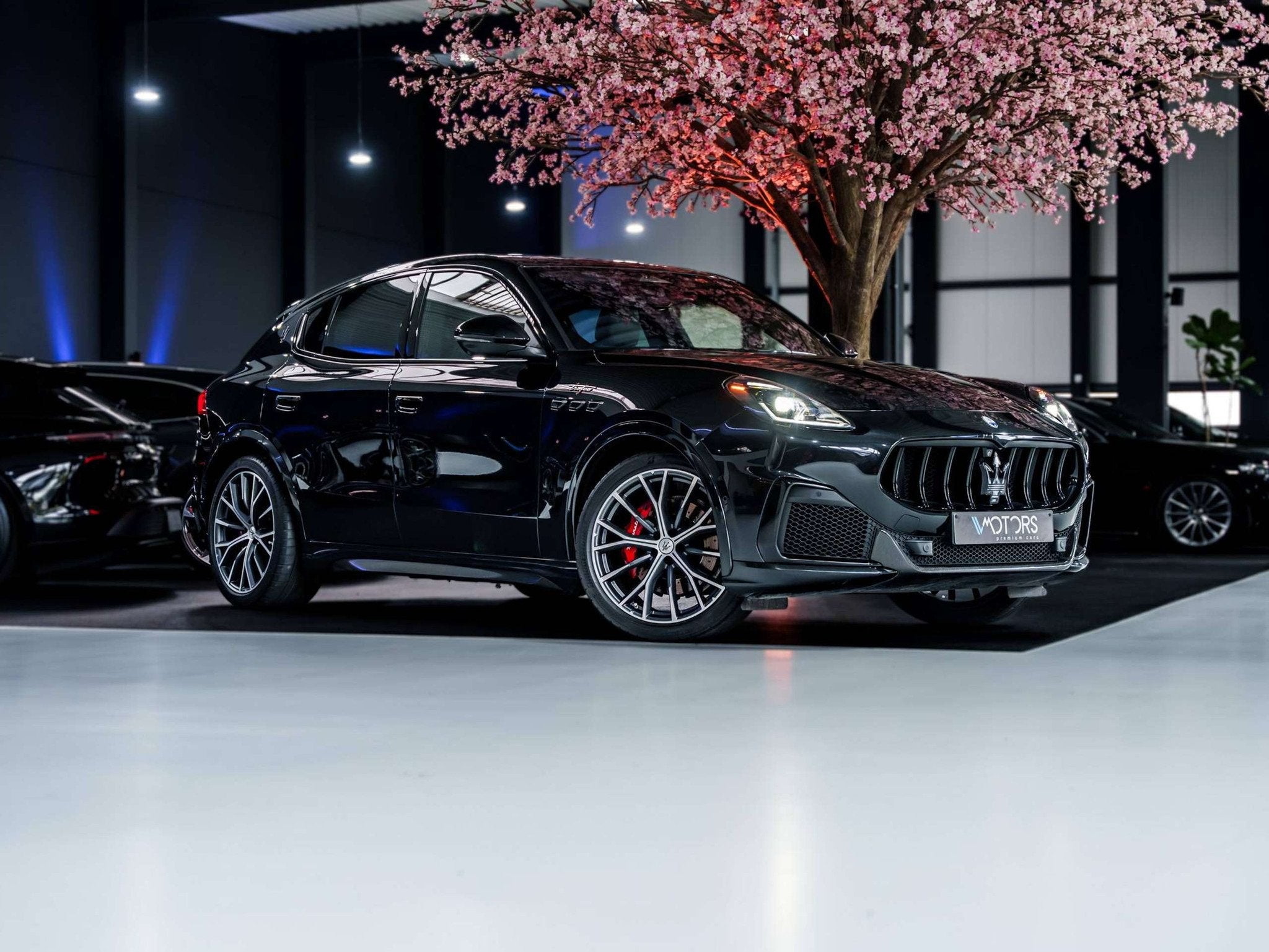 Maserati Grecale 3.0 V6 Turbo Trofeo - 21" - Carbon - HUD -, Autos, Cuir, Grecale, Achat, Entreprise