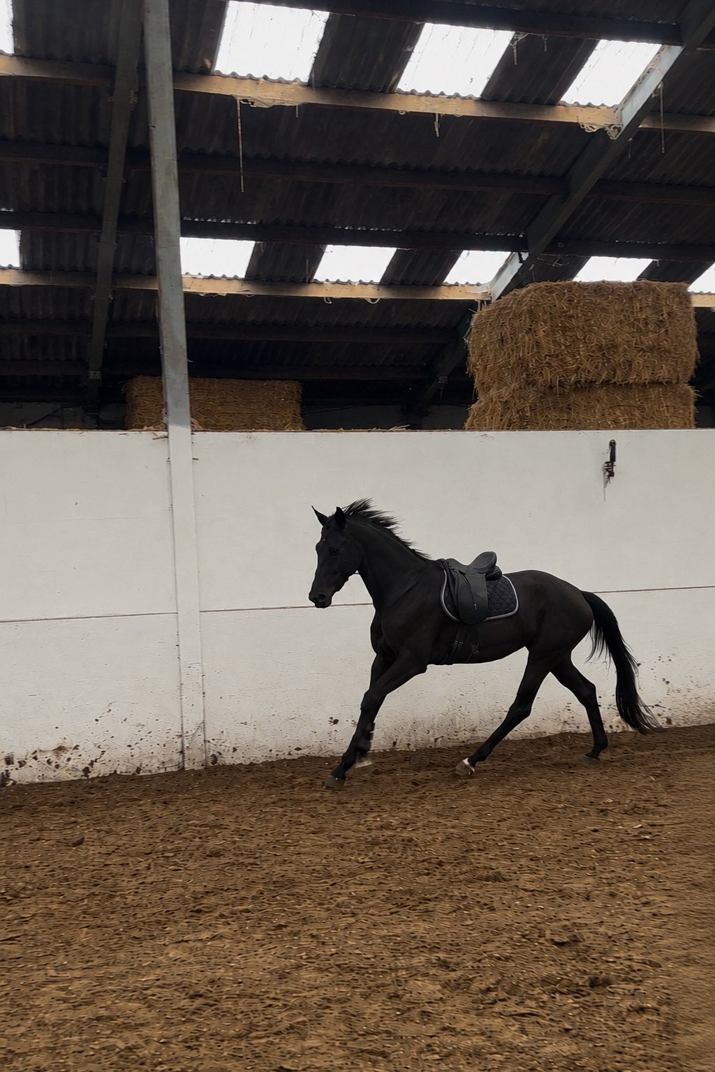 Zadelmak maken van paarden, Dieren en Toebehoren, Ophalen of Verzenden, Zo goed als nieuw