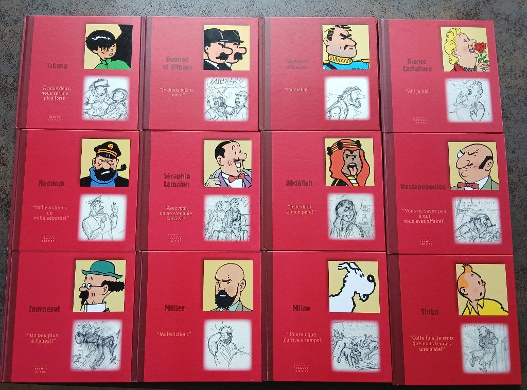 Tintin : 12 albums portraits - France Loisirs, Enlèvement, Tintin