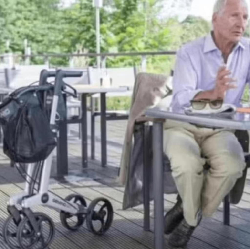 Luxe Rollator Gemino 20 - Grijs - Lichtgewicht, Ophalen, Lichtgewicht, Gebruikt