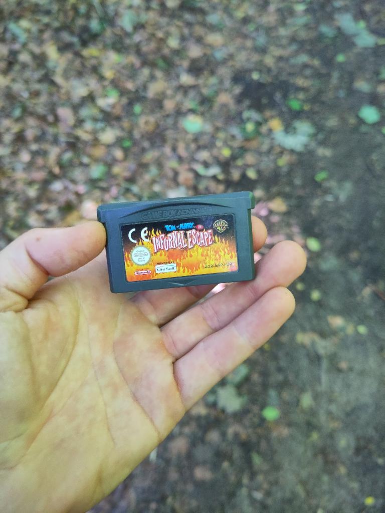 game boy advance spelletjes, Enlèvement ou Envoi, 1 joueur, À partir de 12 ans, Aventure et Action