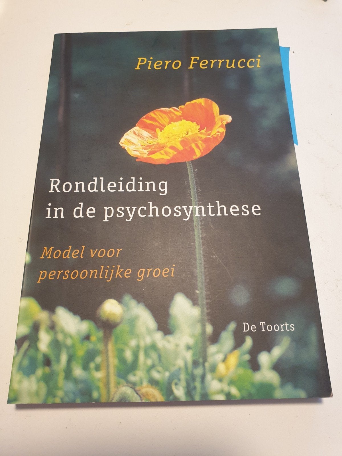 P. Ferrucci - Rondleiding in de psychosynthese, Ophalen of Verzenden, Zo goed als nieuw, P. Ferrucci