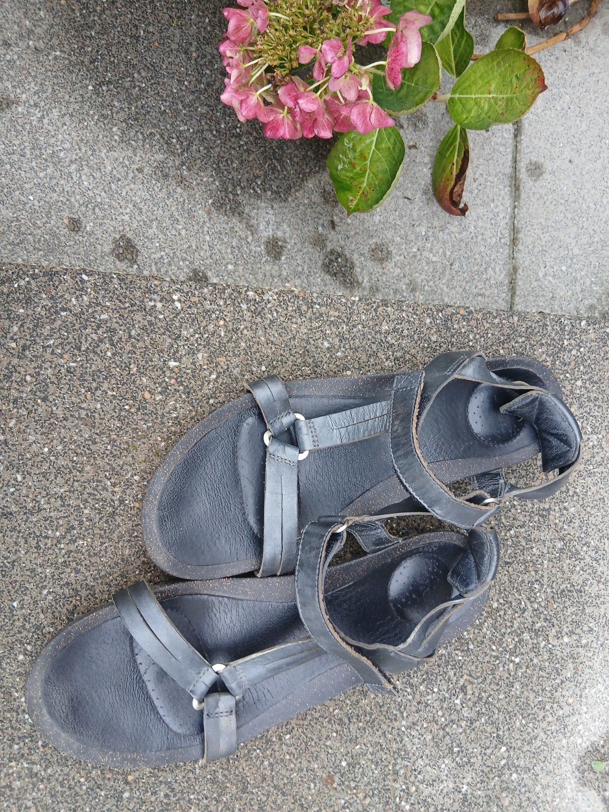 Teva zwarte sandaal maat 41, Kleding | Dames, Zwart, Teva, Gedragen, Sandalen of Muiltjes