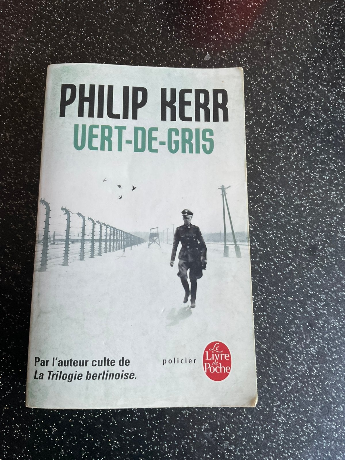 Livre Vert-De-Gris Philip Kerr, Enlèvement ou Envoi, Comme neuf