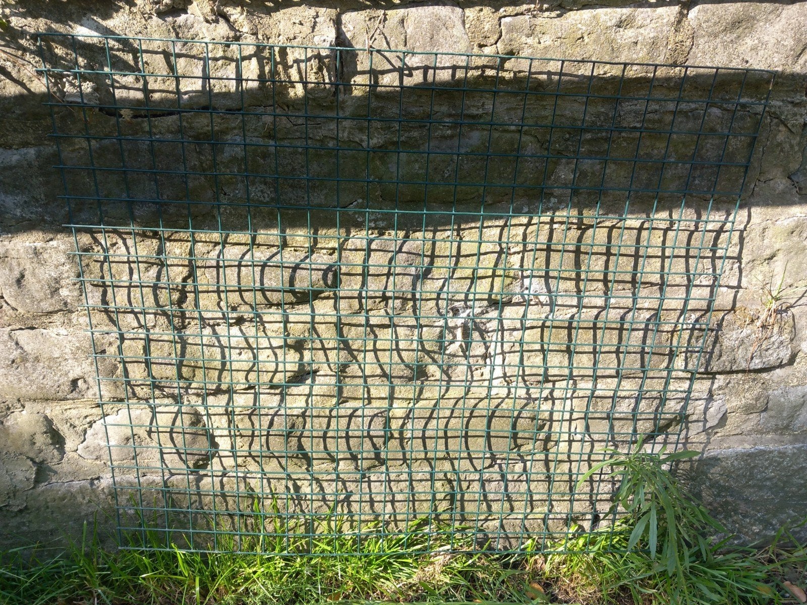 grille, barrière , grillage ,poule,lapin, Enlèvement
