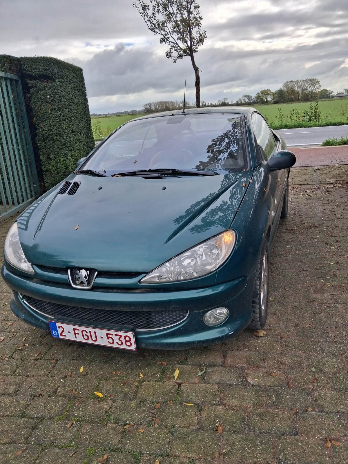 Peugeot 206 CC Roland Garros niet gekeurd, projectwagen., Autos, Cuir, Cabriolet, Boîte manuelle, 2 portes