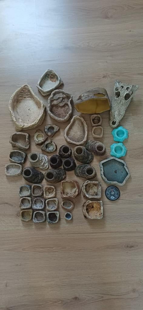 Reptielen drink/voederbakjes, Dieren en Toebehoren, Ophalen, Gebruikt, Overige typen