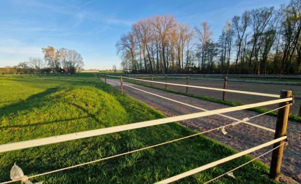 paddock paradise te huur in eigen beheer 650€/maand, Pâturage