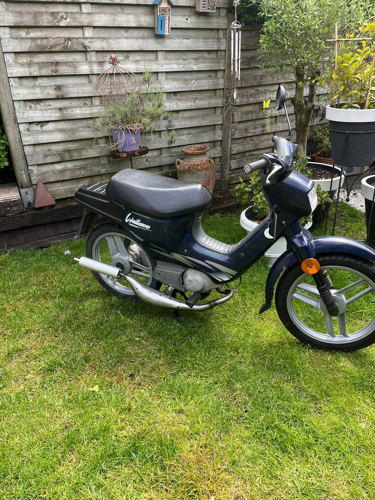 Honda Wallaroo, Enlèvement