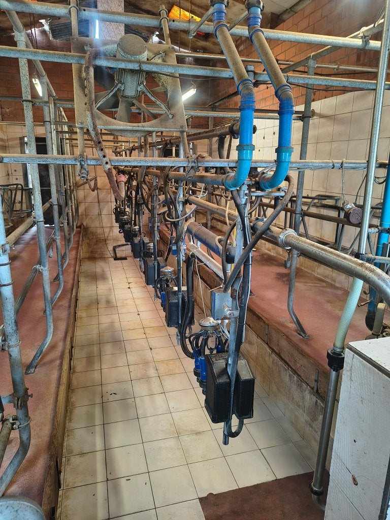 Melkmachine swing over 7 stellen en koeltank, Ophalen, Veehouderij, Melktechniek