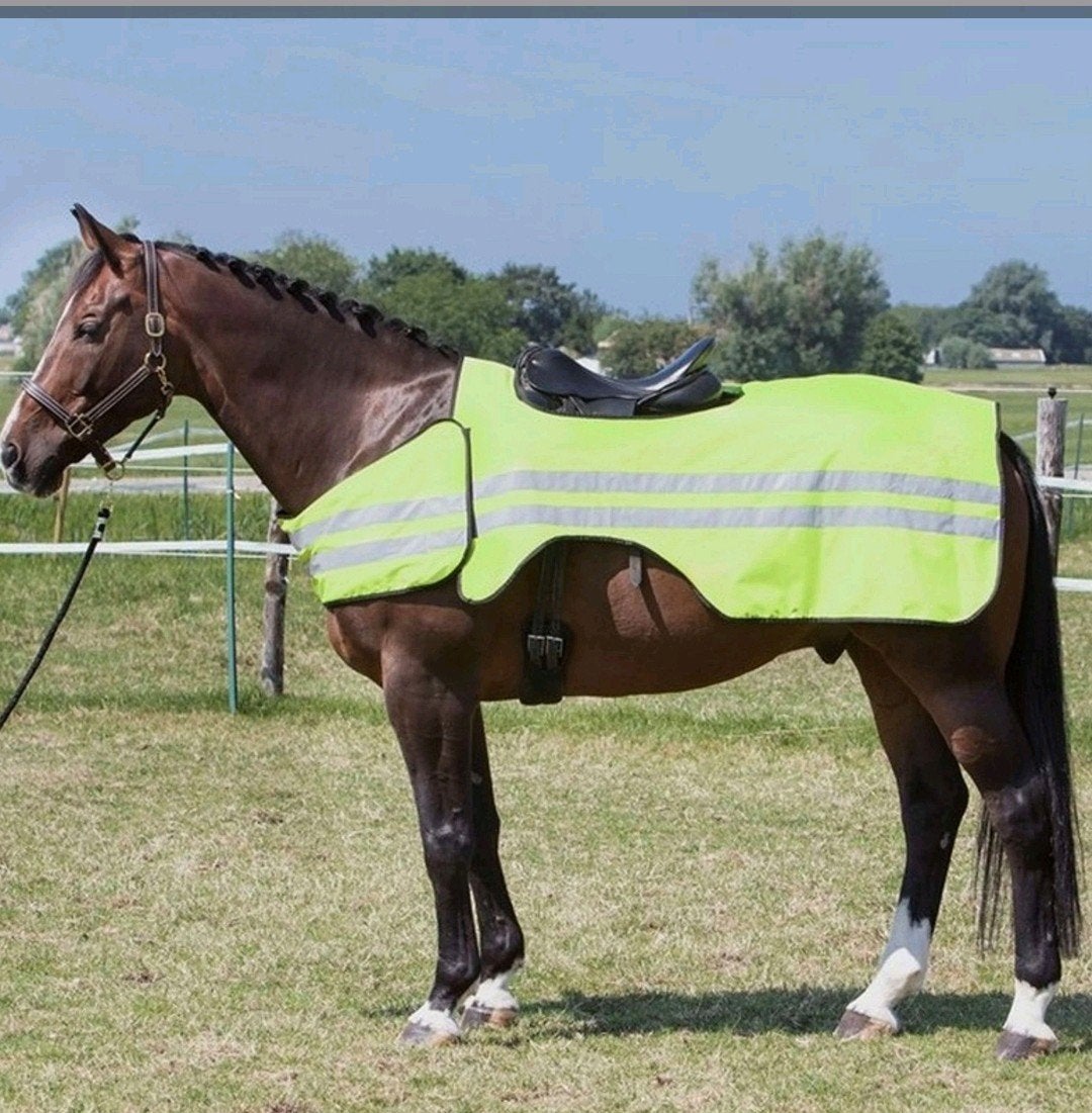 fluo deken Harry's horse, Dieren en Toebehoren, Full (L), 0 g, Nieuw, Ophalen of Verzenden
