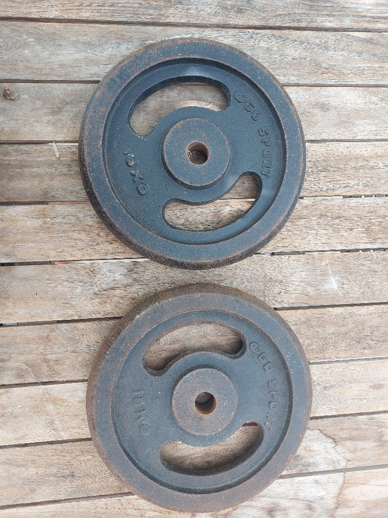 2 disques en fonte avec poignées 15 kg DSD SPORT, Enlèvement, Utilisé, Bras, Haltère