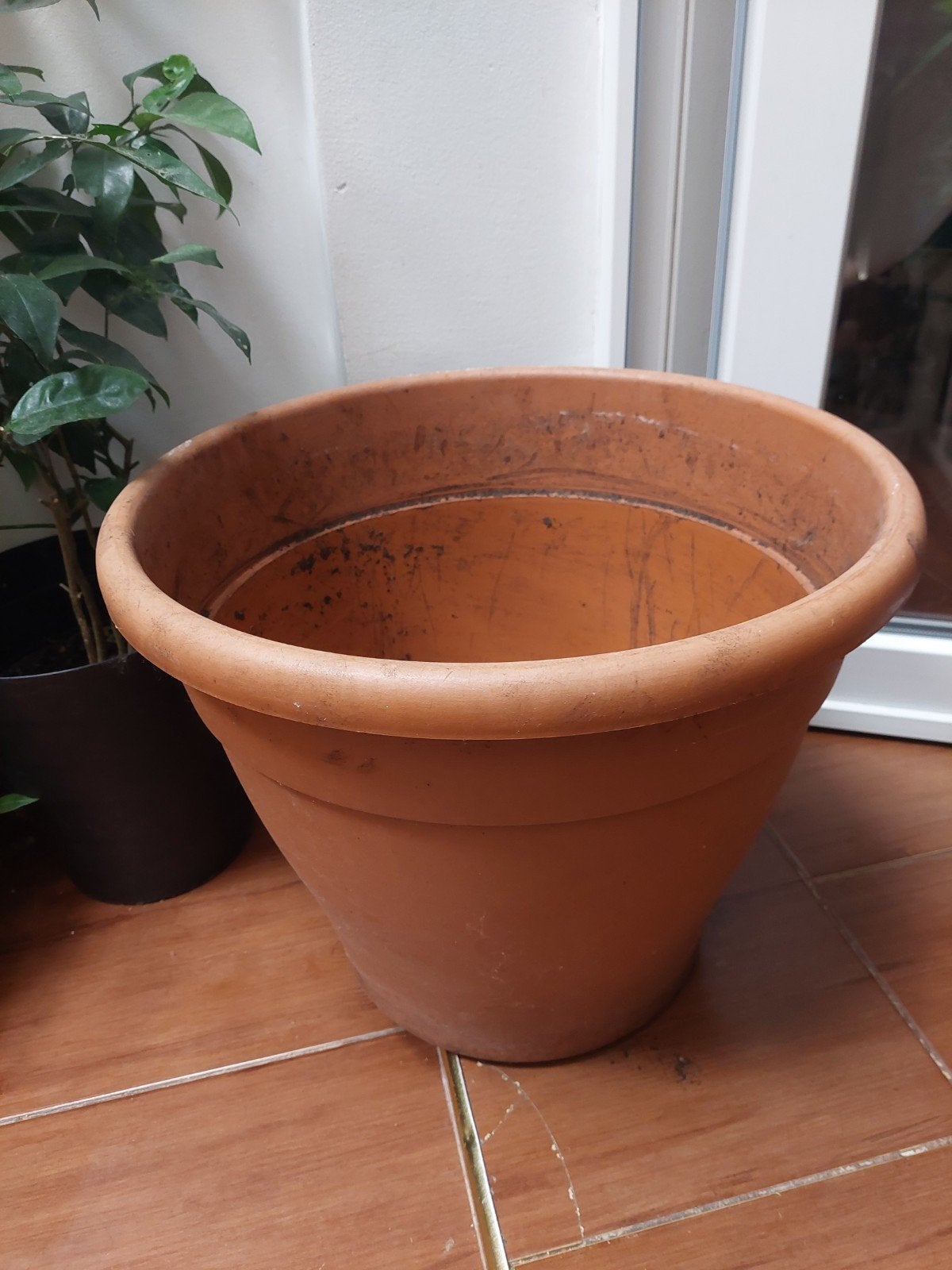 grands pots en plastique, Enlèvement