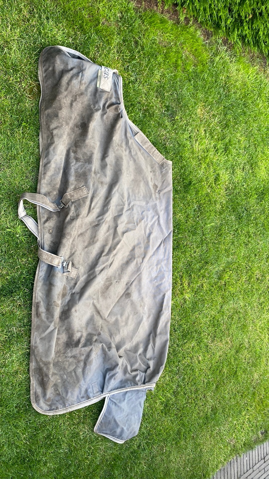 Regendeken Bucas 0g, Dieren en Toebehoren, Ophalen of Verzenden, Gebruikt, Regendeken, Bucas