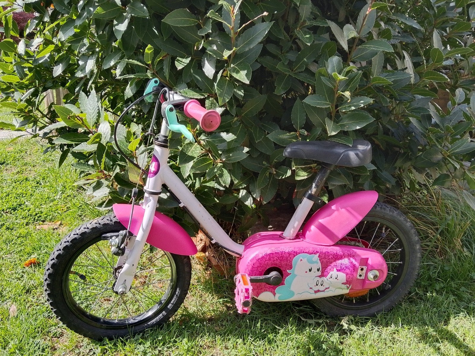 Le premier vrai vélo de votre fille?, Vélos & Vélomoteurs, Enlèvement, Utilisé