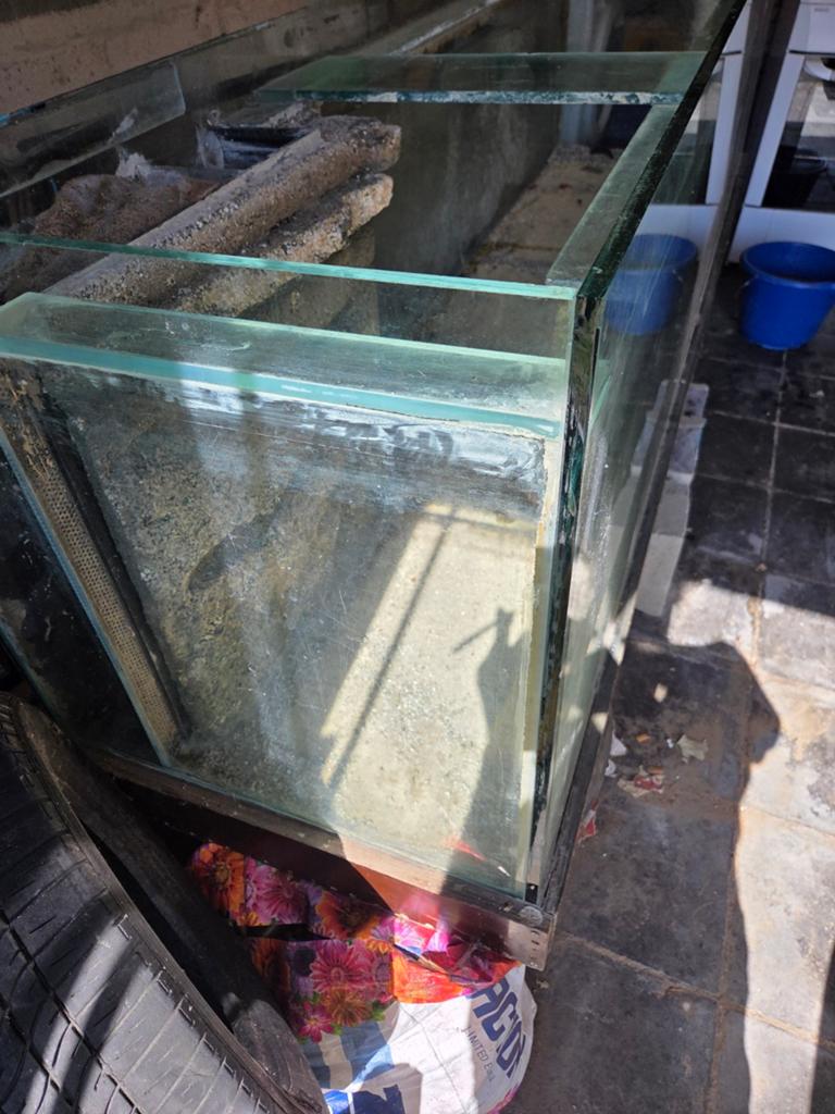 Aquarium de 2m59x60x70, Dieren en Toebehoren, Ophalen
