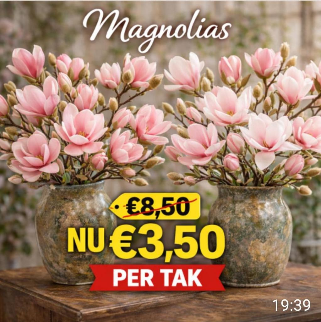 Kunstbloemen Uitverkoop, Enlèvement ou Envoi