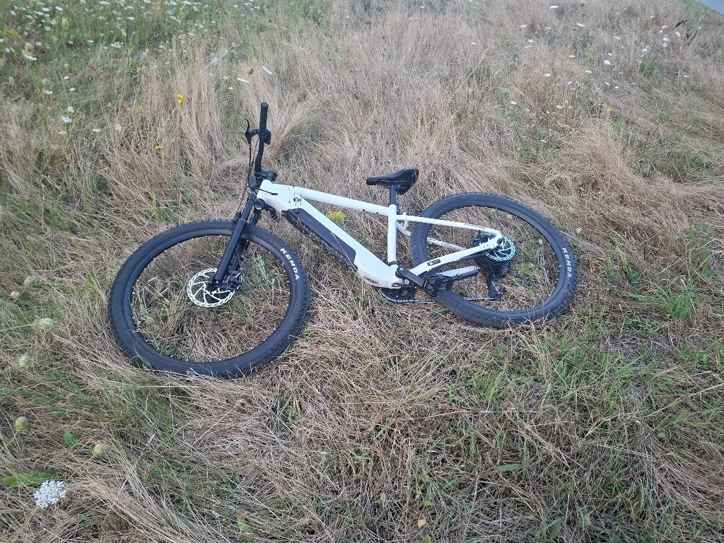 E bike, Zo goed als nieuw, 51 tot 55 cm, 30 tot 50 km per accu, Ophalen