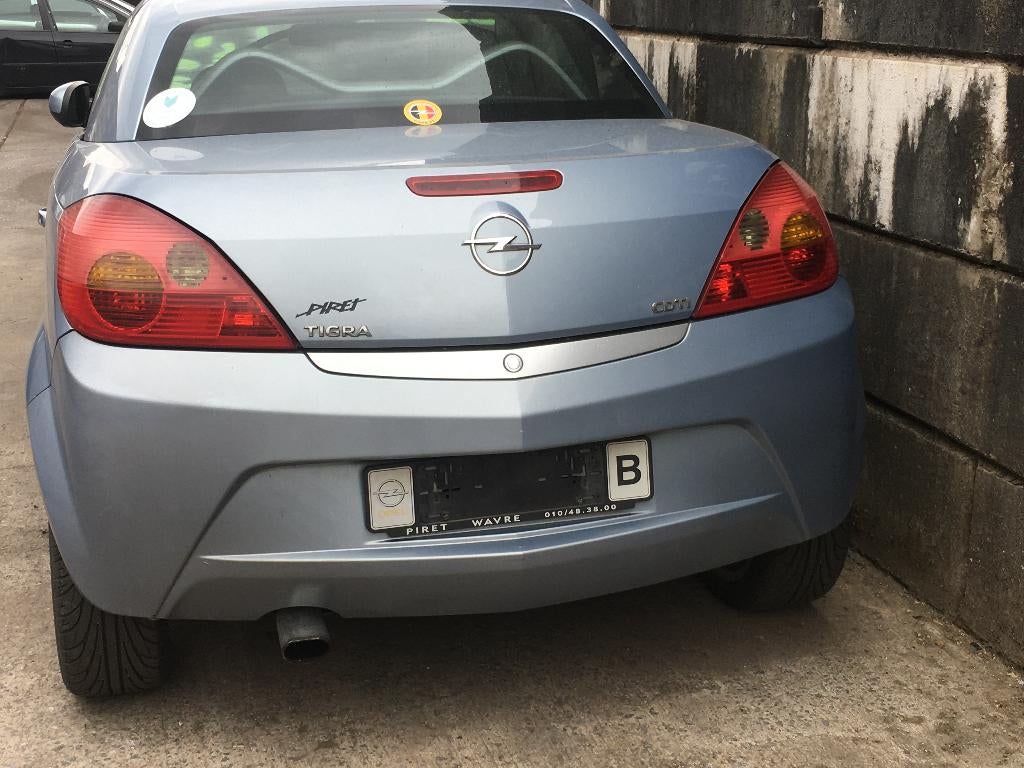 HAYON OPEL TIGRA B, Arrière, RUE BRIGADE PIRON 307, Haillon arrière, Enlèvement