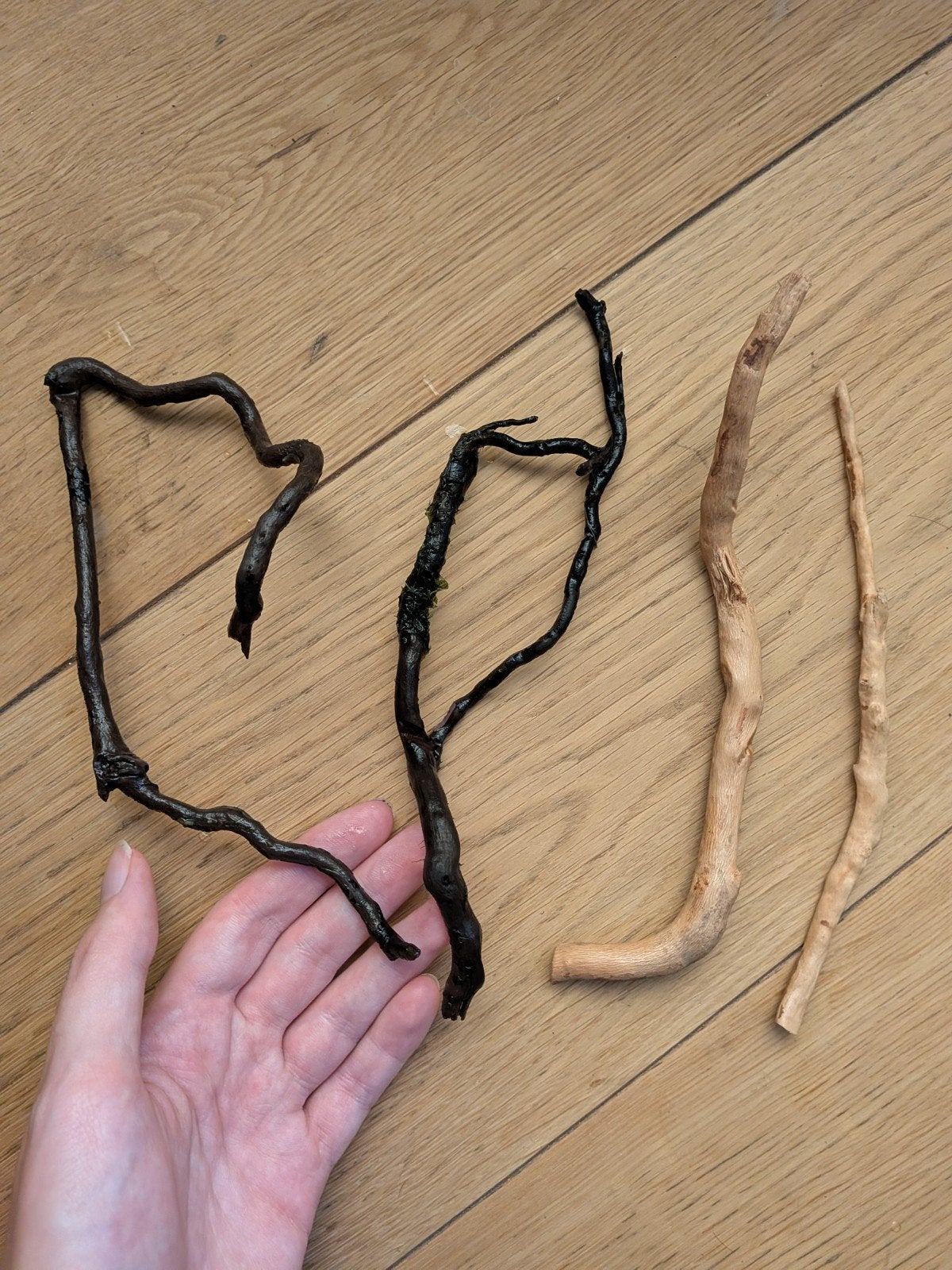 Spiderwood voor aquarium, Dieren en Toebehoren, Ophalen