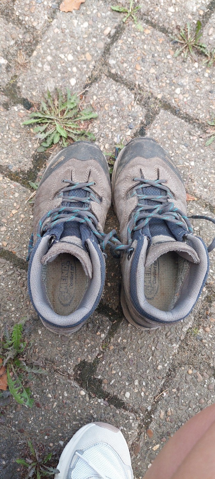 chaussures de marche, Enlèvement ou Envoi, Utilisé, Chaussures