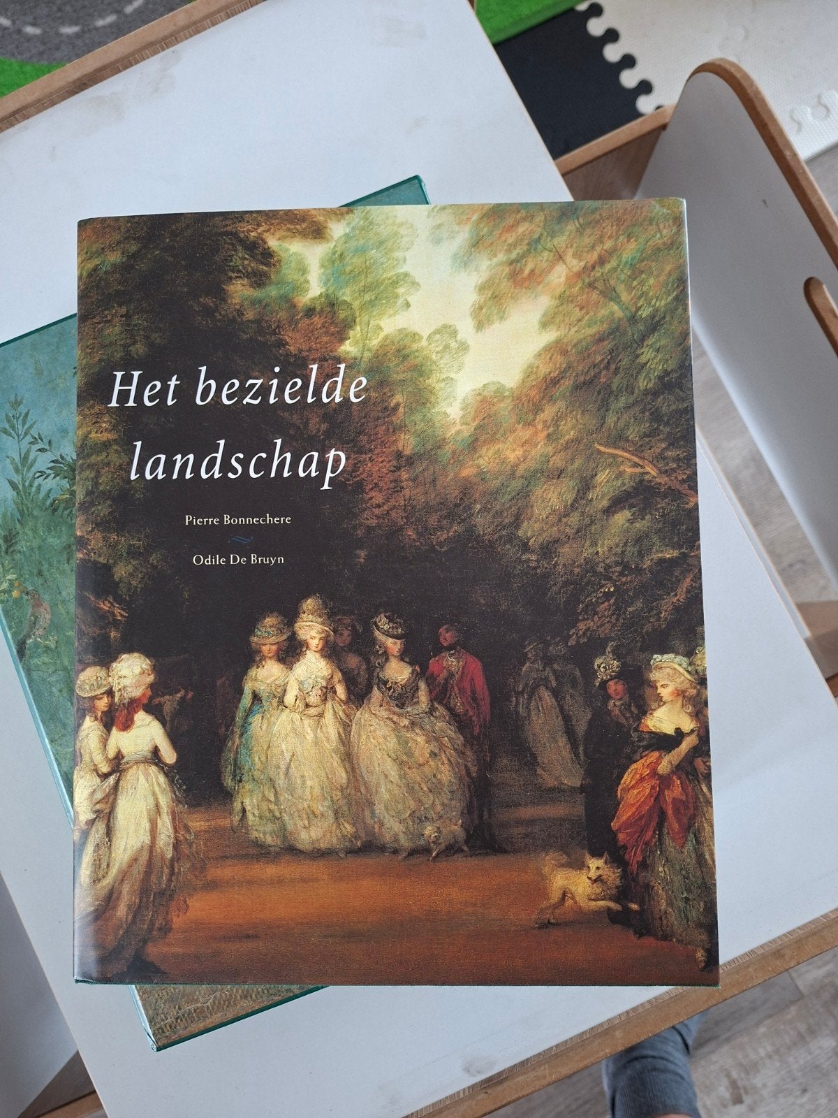 Het bezielde lanschap P. Bonnechere, O. De Bruyn, Ophalen