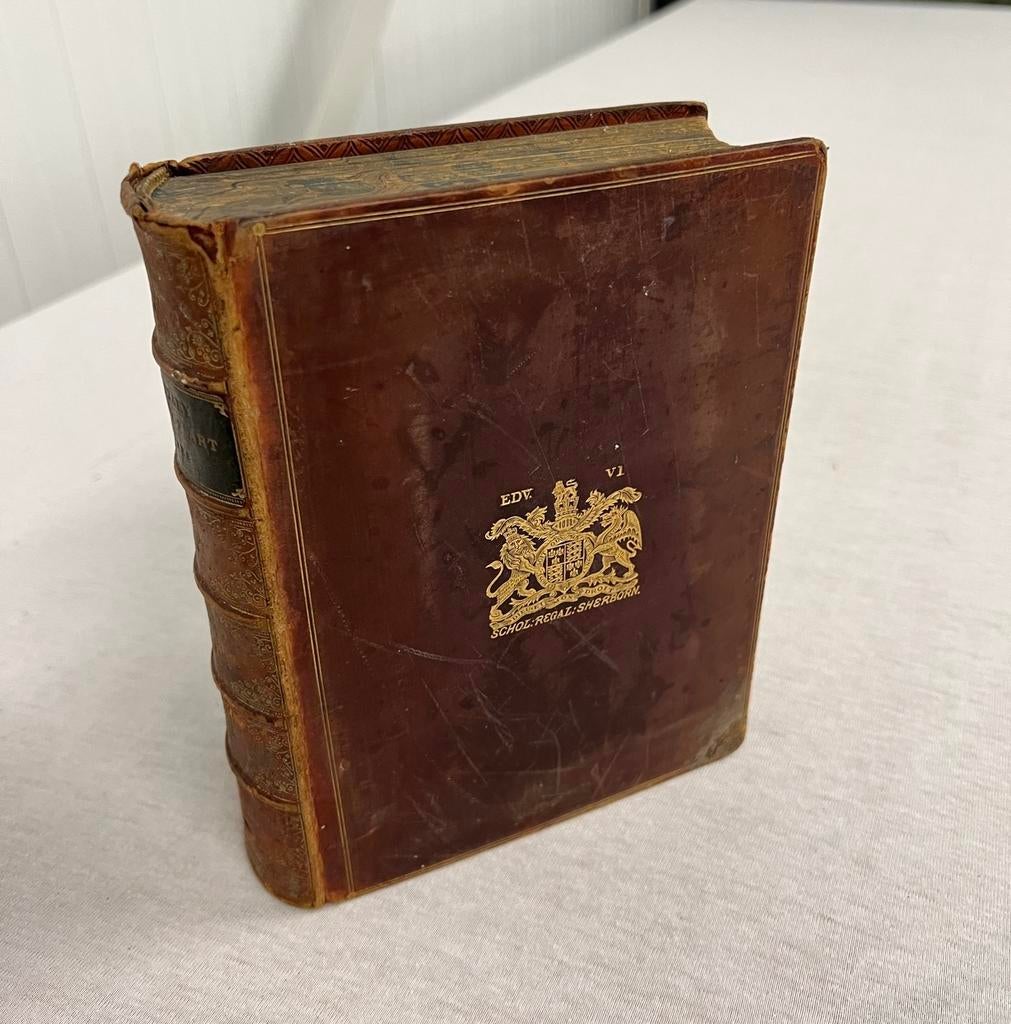 Elementary History of art D'anvers schol-regal-sherborn 1889, Ophalen of Verzenden