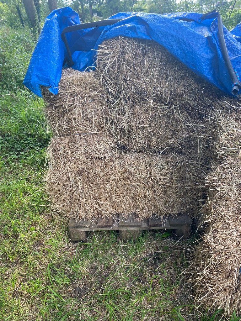 Hooibaal, Dieren en Toebehoren, Ophalen