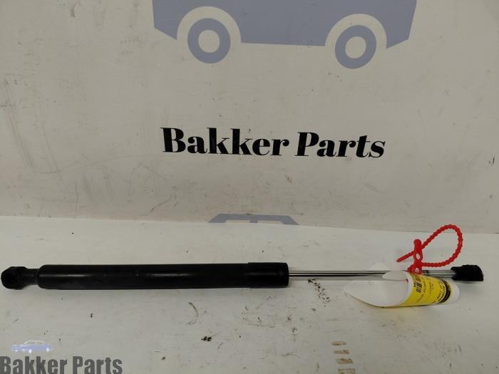 Amortisseur capot moteur gauche d'un Renault Clio, -, Renault, -, 3 mois de garantie