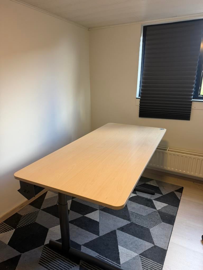Electrische verstelbare sta/zit bureau profesioneel, Huis en Inrichting, Ophalen of Verzenden, In hoogte verstelbaar, Gebruikt