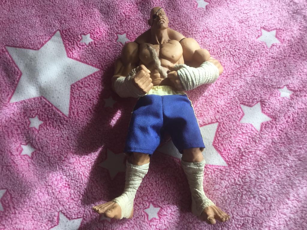 Street fighter sagat, Ophalen, Gebruikt