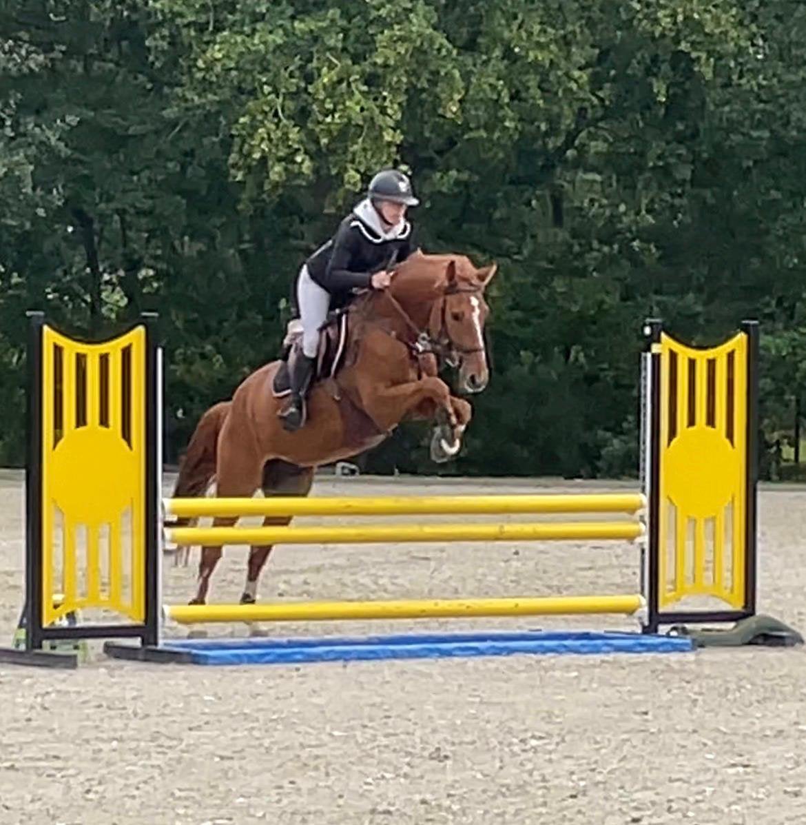 Paarden & pony’s zadelmak maken en/doorrijden, Zadelmak