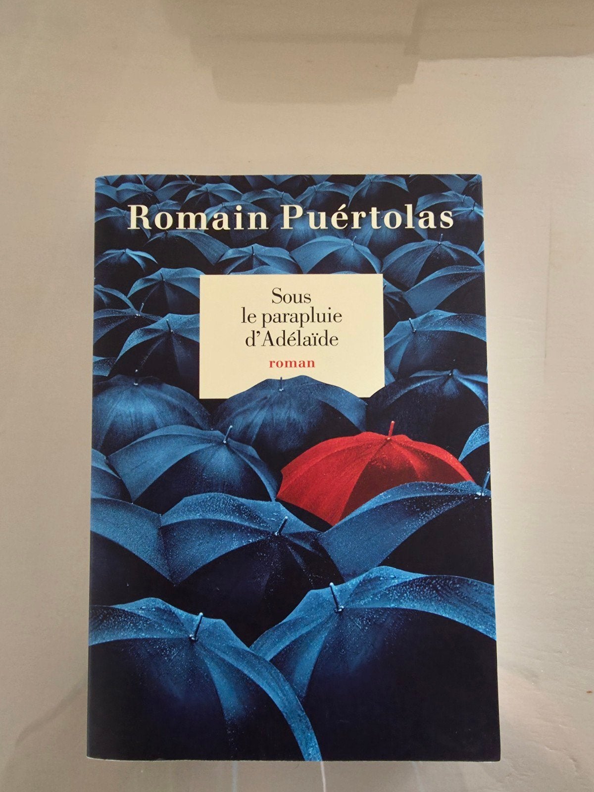 sous le parapluie d'Adélaïde, Enlèvement, Comme neuf, Romain puetrolas