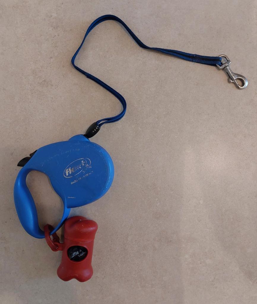 Lot de laisses petit chien - 3 € le tout, Enlèvement, Utilisé, Laisse pour chien