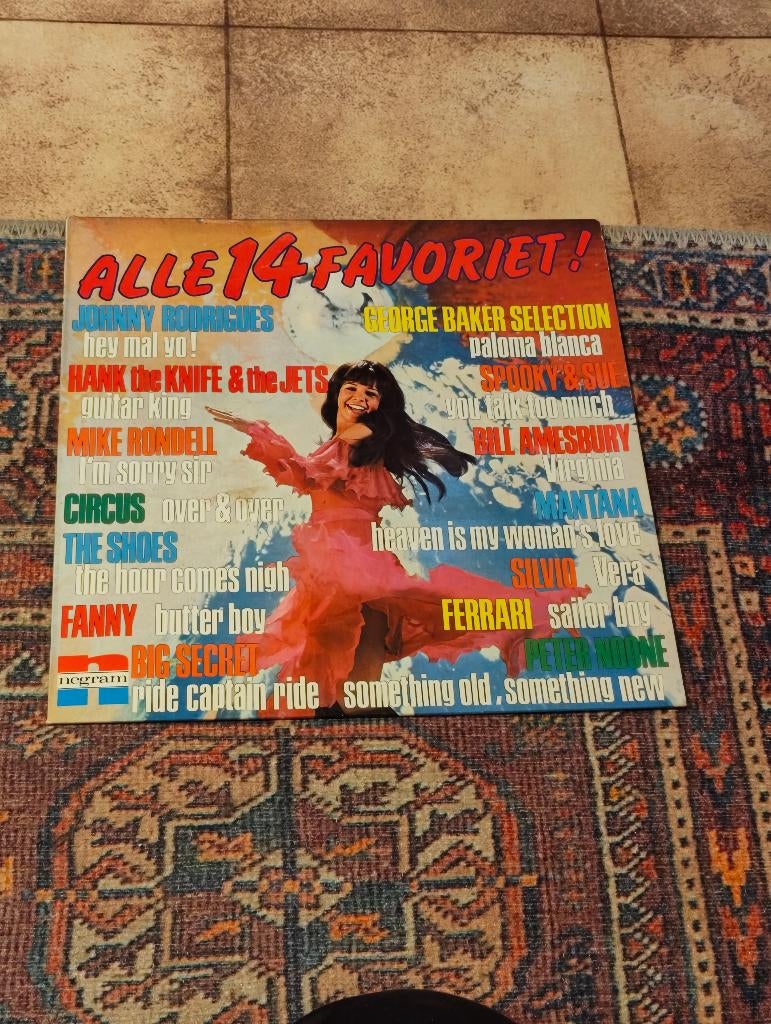 Lp Alle 14 Favoriet!, CD & DVD, Vinyles | Compilations, Enlèvement ou Envoi, Utilisé, Autres formats, Autres genres