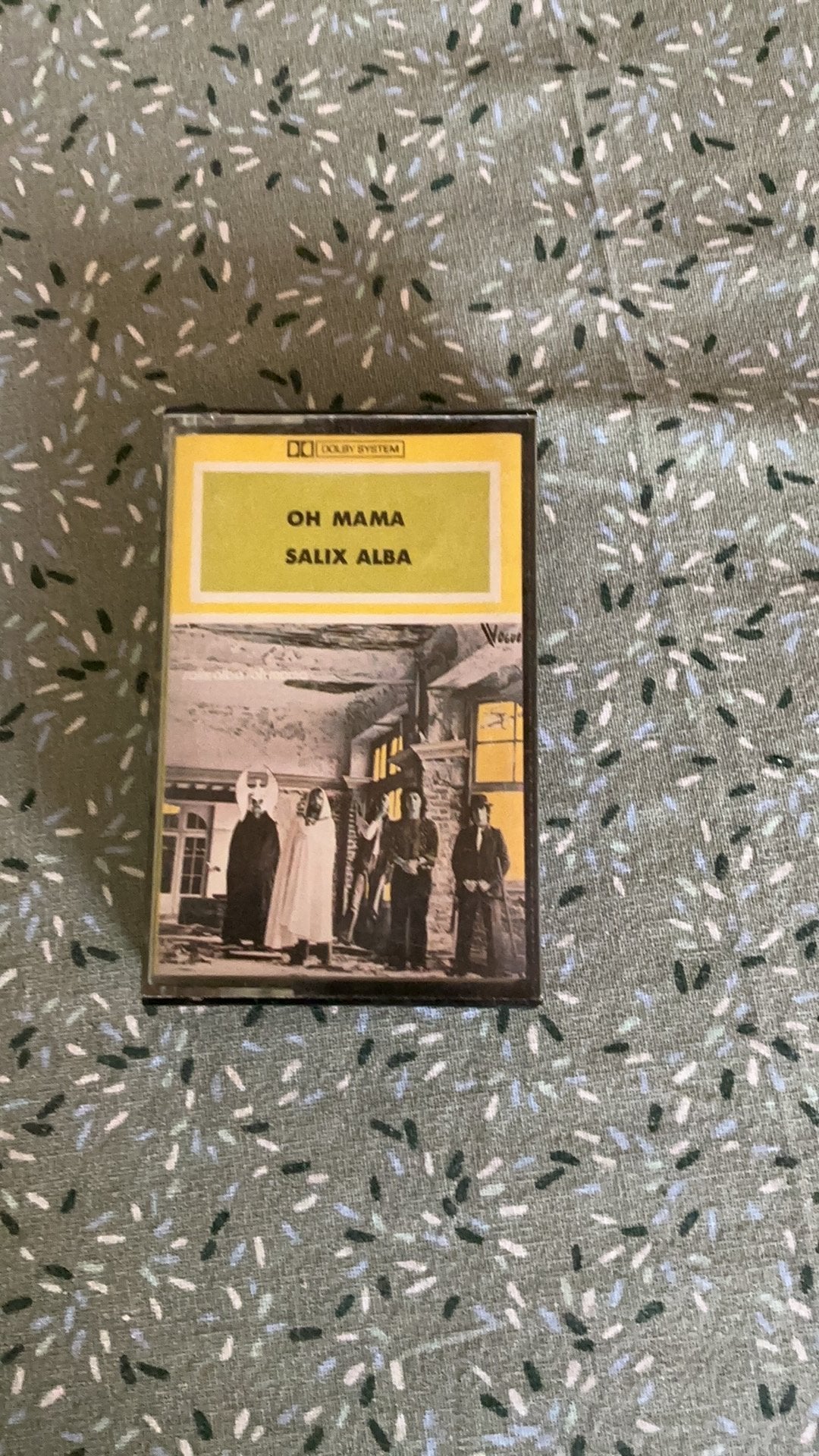 Zeldzame cassette van Salix Alba Belpop jaren 70, Gebruikt, 1 bandje, Ophalen of Verzenden, Origineel