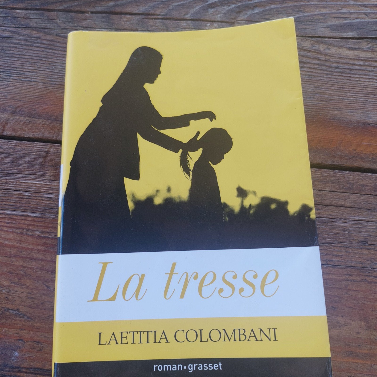 LAETITIA COLOMBANI - LA TRESSE, Livres, Enlèvement, LAETITIA COLOMBANI