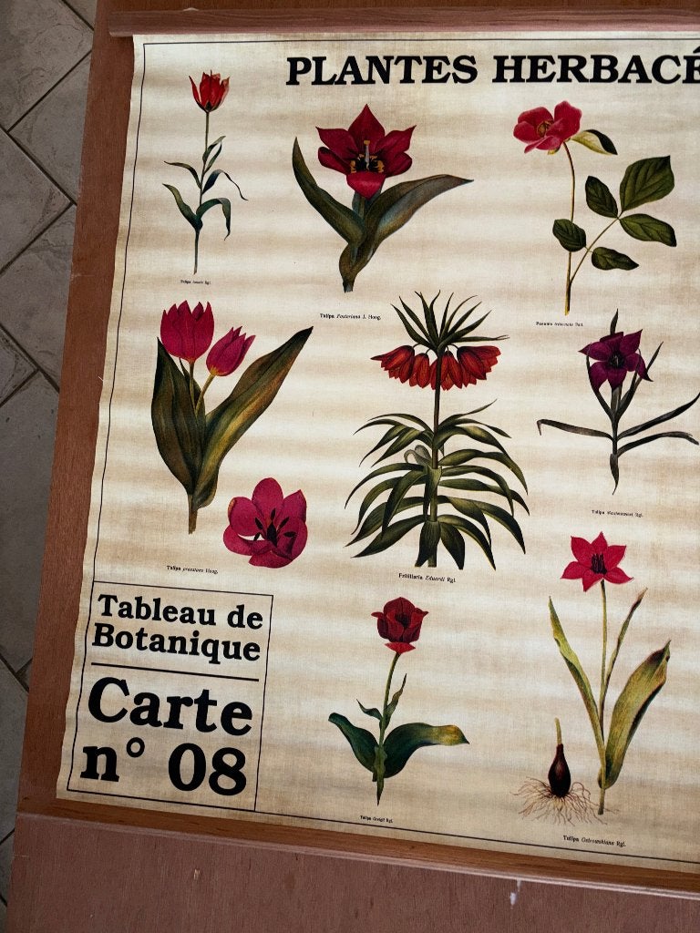retro schoolkaart, Beige, Vintage, Ophalen of Verzenden, Zo goed als nieuw