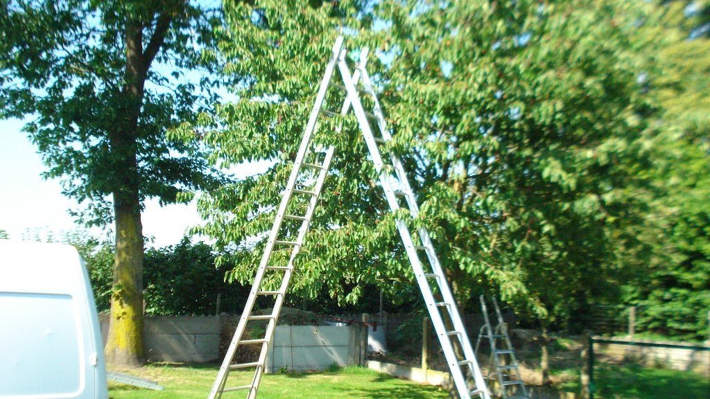 ladder 2 delig, Enlèvement, Échelle