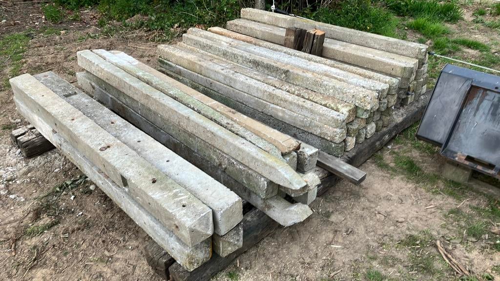 Betonnen weide palen, Dieren en Toebehoren