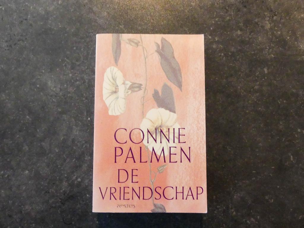 Boek ‘De vriendschap’ NIEUW!, Boeken, Literatuur, Nieuw, Nederland, Ophalen of Verzenden