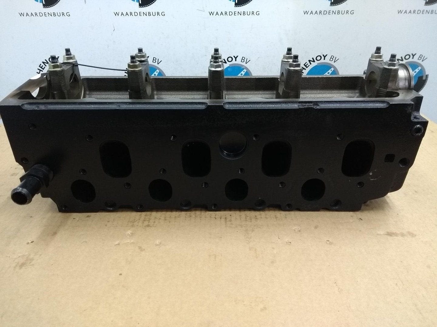 FORD FOCUS CILINDERKOP 2003, Enlèvement ou Envoi, Neuf, ARN reconnu