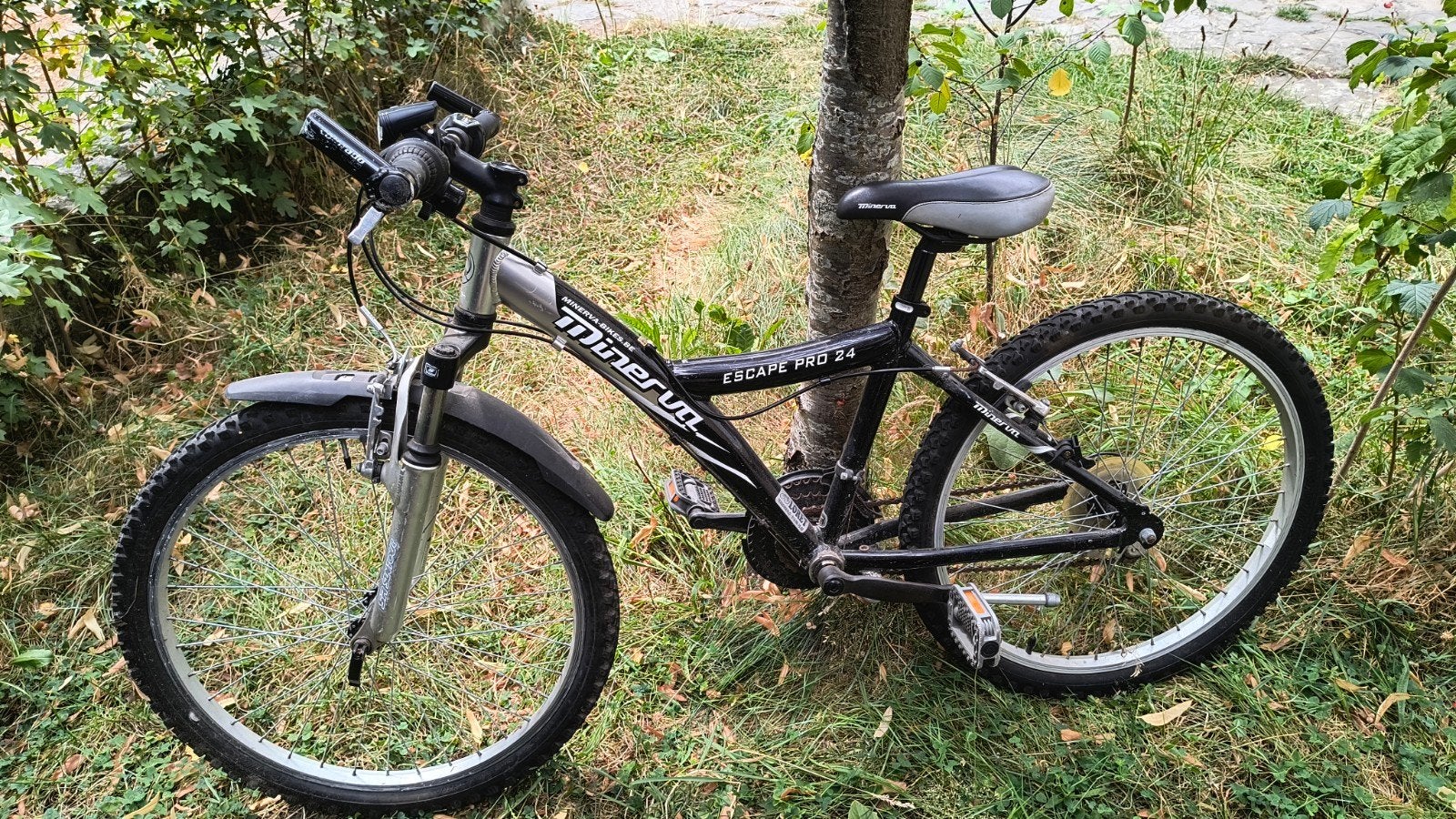 kinderfiets Minerva citybike/mountainbike, Fietsen en Brommers, Fietsen | Mountainbikes en ATB, Ophalen